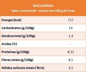 macadamia-vn