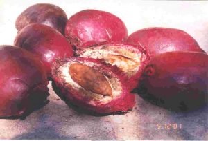 okari-nut-fruts
