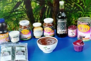 açaí - valor nutricional 3