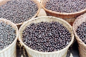 açaí - valor nutricional 4